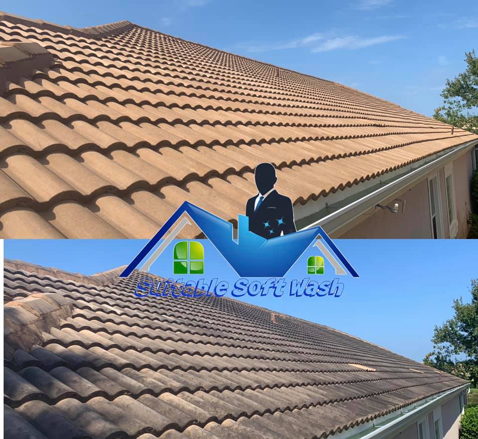 Roof Cleaning